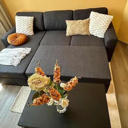 Romantique A Liege, Et Salon Climatises, Sdb Privee, Kitchenette, 2e Etage リエージュ
