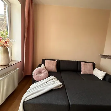 Romantique A Liege, Et Salon Climatises, Sdb Privee, Kitchenette, 2e Etage ゲストハウス