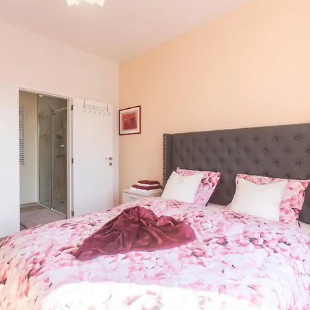 ゲストハウス Romantique A Liege, Et Salon Climatises, Sdb Privee, Kitchenette, 2e Etage